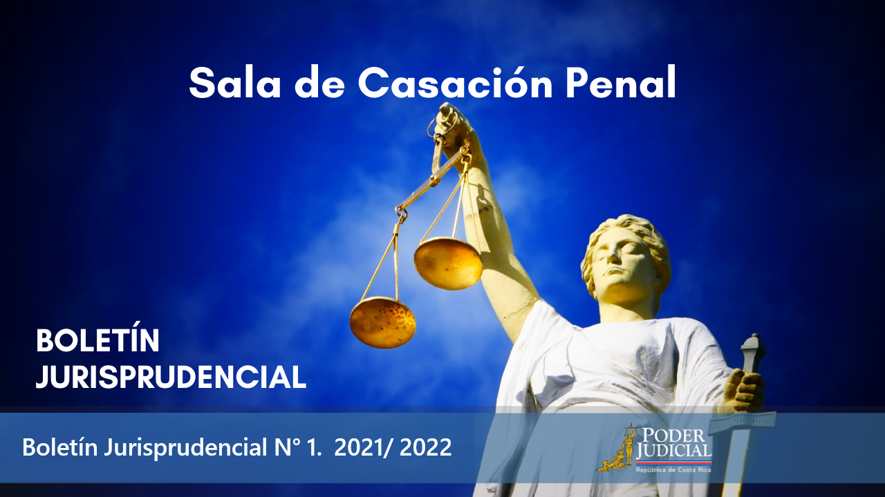 Ir al Boletín Jurisprudencial N° 1.  2021/ 2022